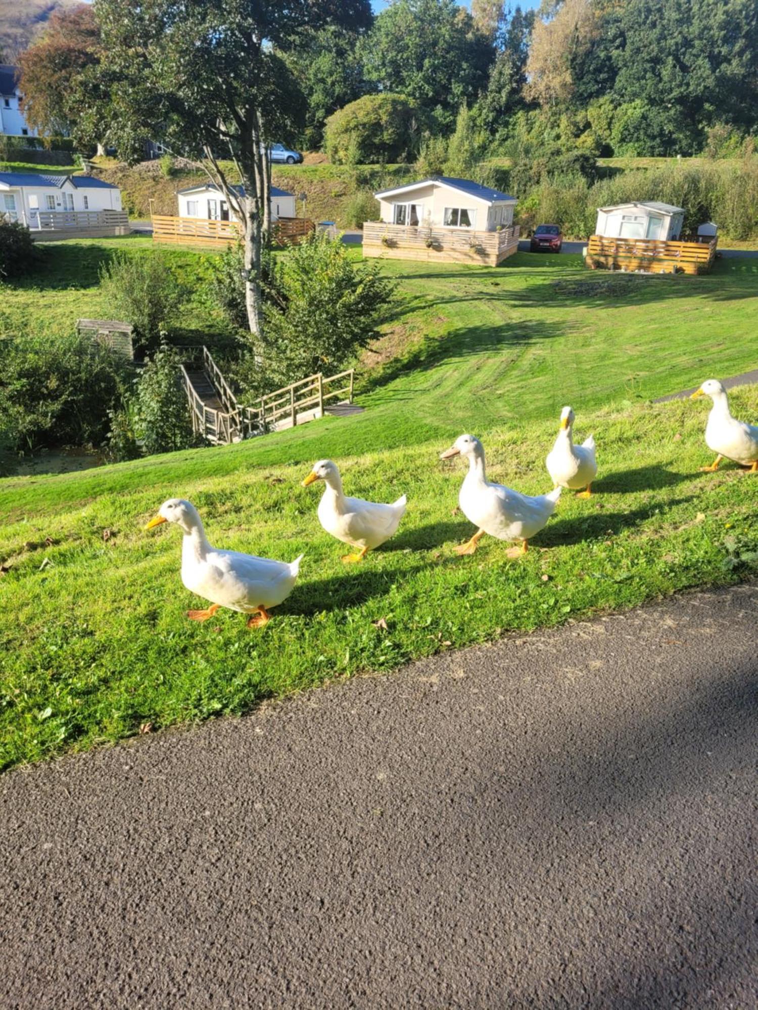 The Sunny Bunny Holiday Home Ballantrae Zewnętrze zdjęcie