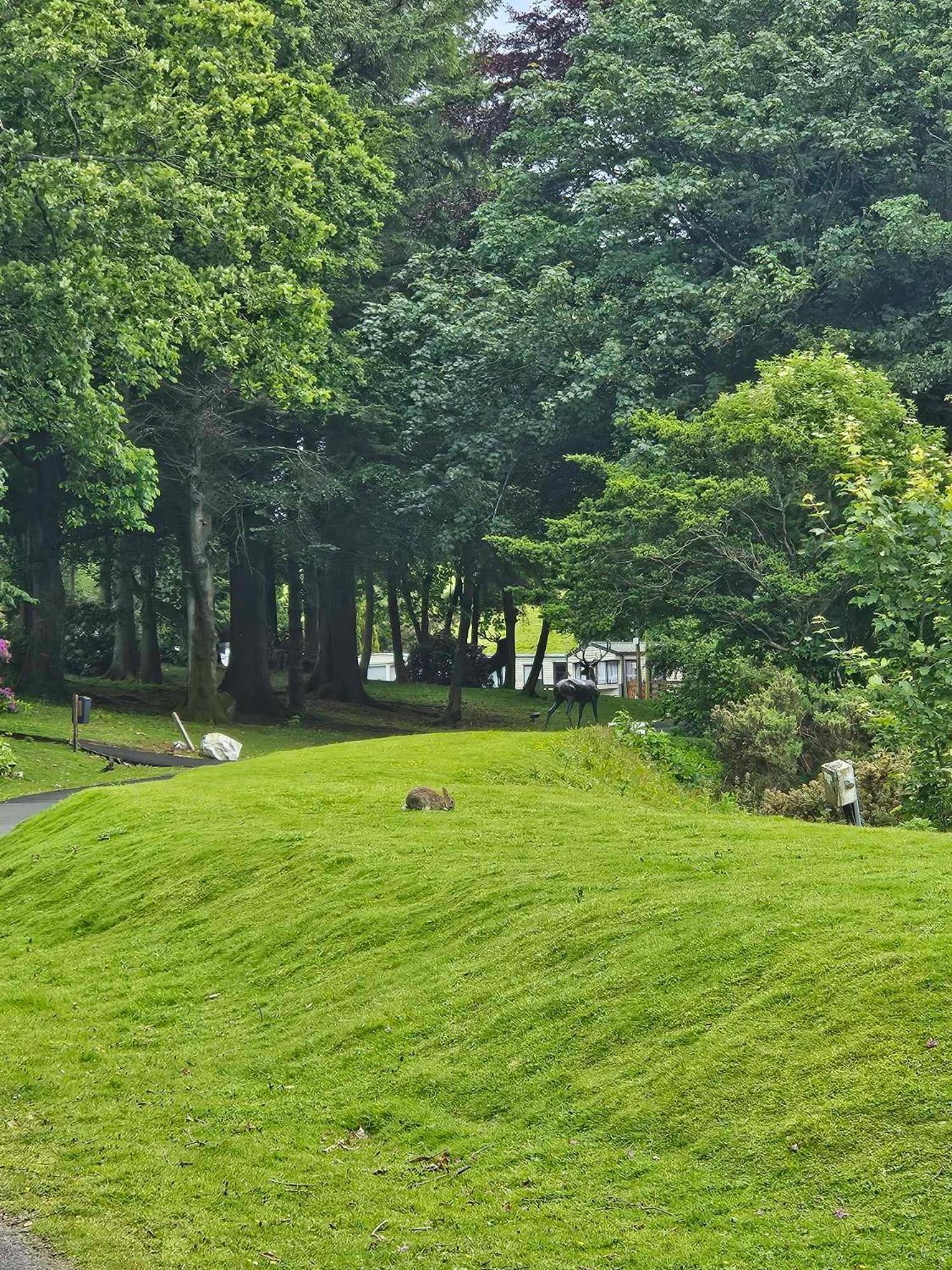 The Sunny Bunny Holiday Home Ballantrae Zewnętrze zdjęcie